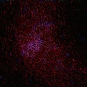 色在线视频观看
