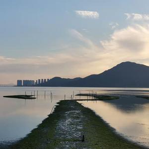 色在线视频观看
